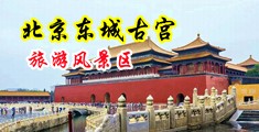 熟女爆菊中国北京-东城古宫旅游风景区