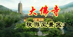 4k岛国黄片中国浙江-新昌大佛寺旅游风景区